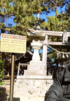 🐰ケアガーデン長上苑　　２０２６年もよろしくお願い致します